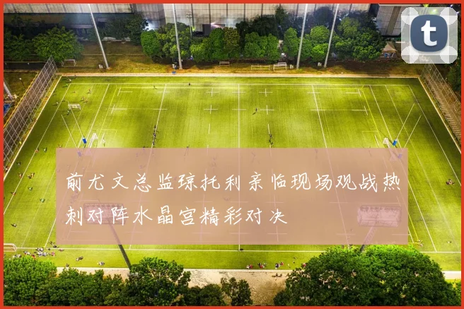 前尤文总监琼托利亲临现场观战热刺对阵水晶宫精彩对决