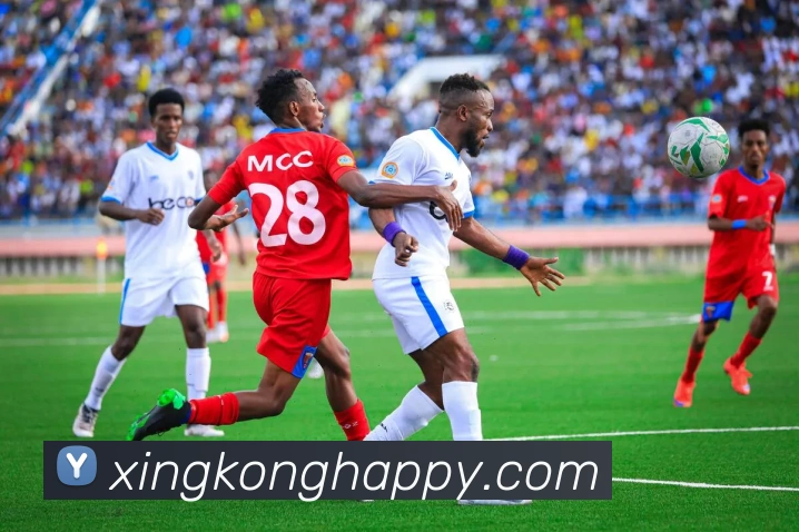 App Interface Preview